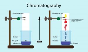 What is Chromatography 